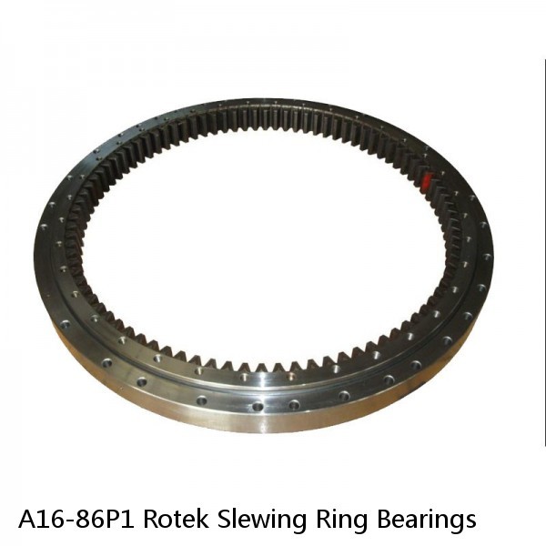 A16-86P1 Rotek Slewing Ring Bearings