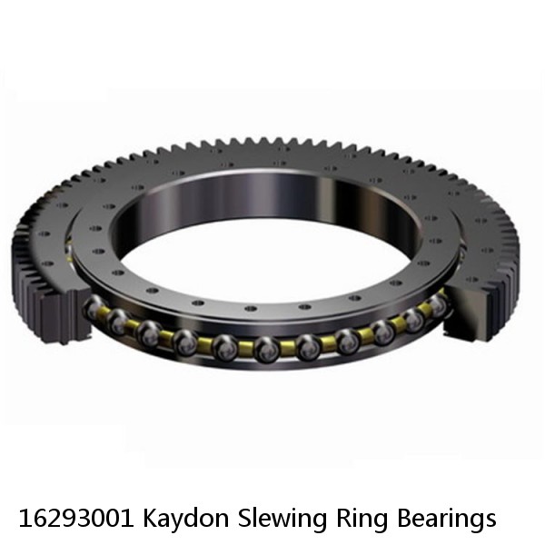 16293001 Kaydon Slewing Ring Bearings