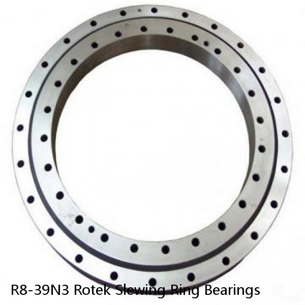 R8-39N3 Rotek Slewing Ring Bearings