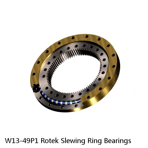 W13-49P1 Rotek Slewing Ring Bearings