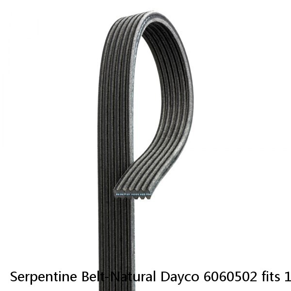 Serpentine Belt-Natural Dayco 6060502 fits 11-12 VW Jetta 2.0L-L4
