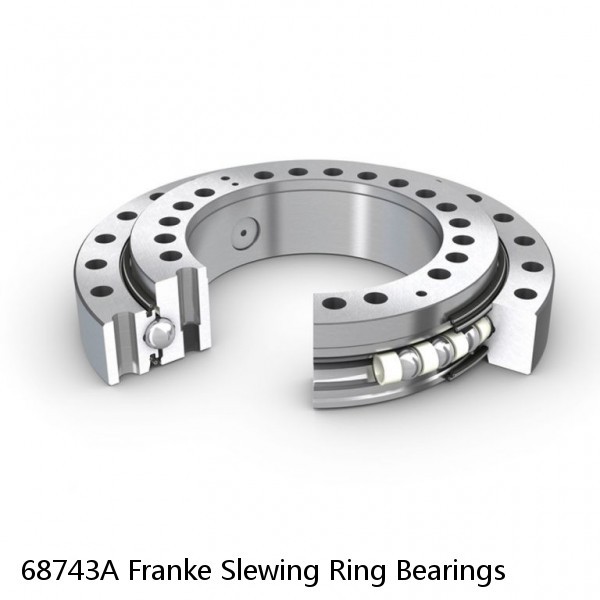 68743A Franke Slewing Ring Bearings