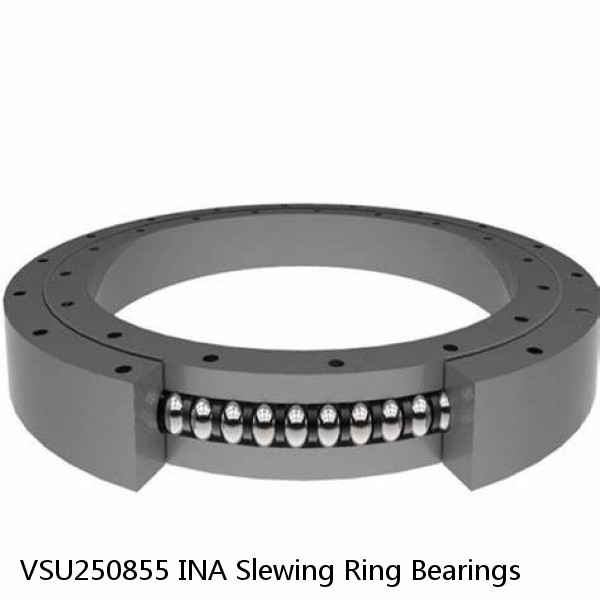 VSU250855 INA Slewing Ring Bearings #1 small image