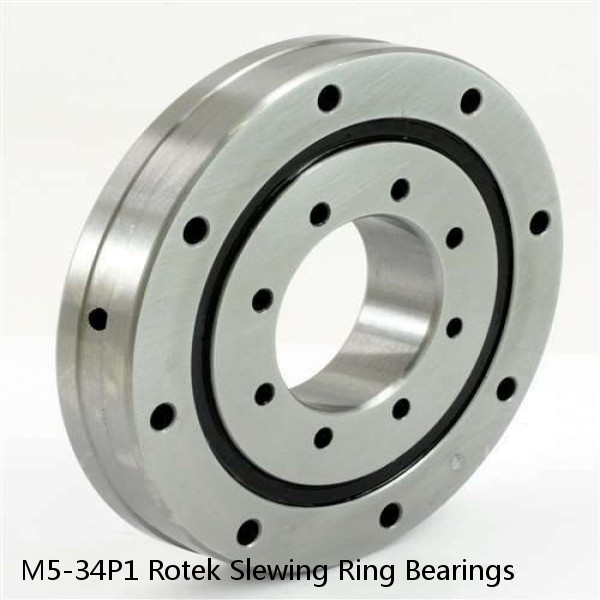 M5-34P1 Rotek Slewing Ring Bearings #1 small image