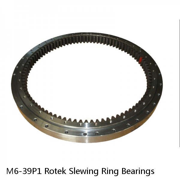 M6-39P1 Rotek Slewing Ring Bearings #1 small image