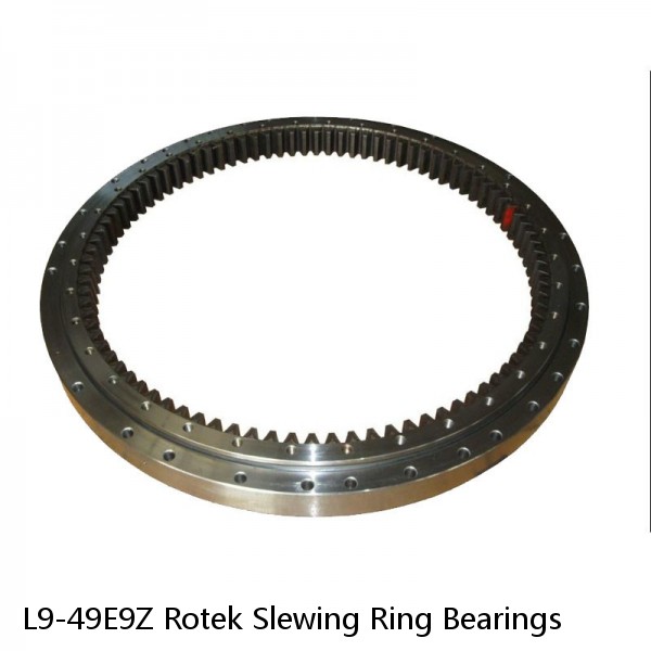 L9-49E9Z Rotek Slewing Ring Bearings #1 small image