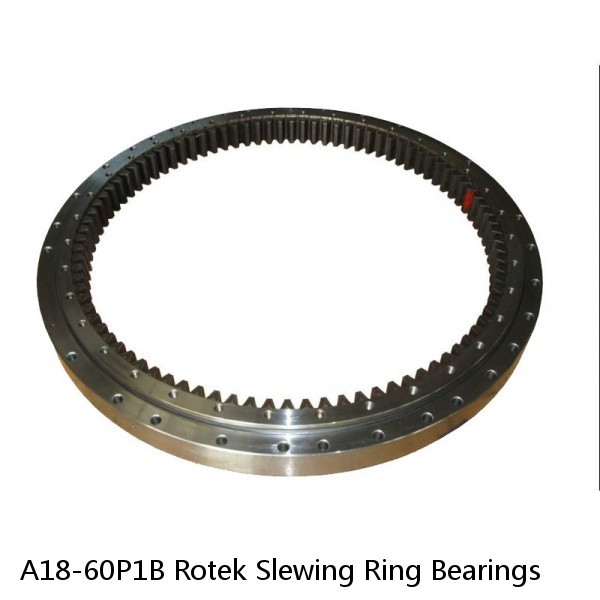 A18-60P1B Rotek Slewing Ring Bearings #1 small image