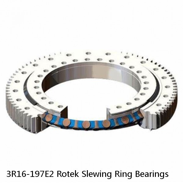 3R16-197E2 Rotek Slewing Ring Bearings