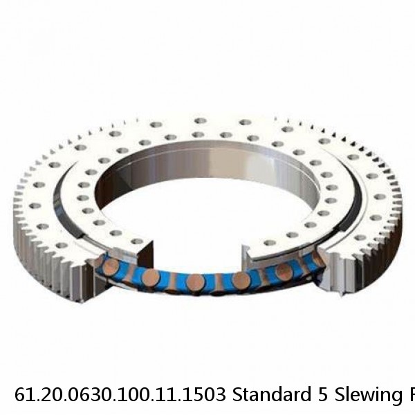 61.20.0630.100.11.1503 Standard 5 Slewing Ring Bearings #1 small image