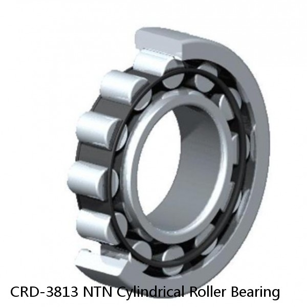 CRD-3813 NTN Cylindrical Roller Bearing #1 small image