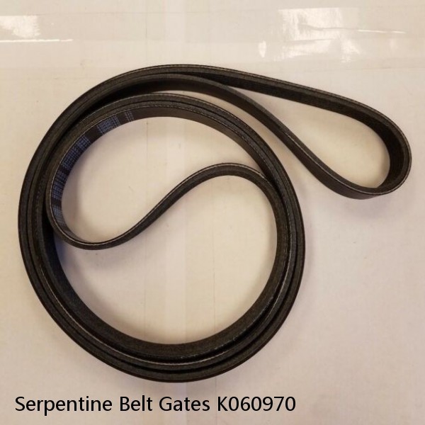 Serpentine Belt Gates K060970 #1 small image