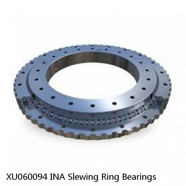 XU060094 INA Slewing Ring Bearings #1 image
