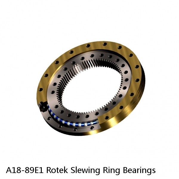 A18-89E1 Rotek Slewing Ring Bearings #1 image