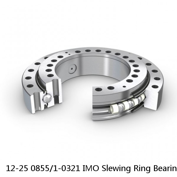 12-25 0855/1-0321 IMO Slewing Ring Bearings #1 image