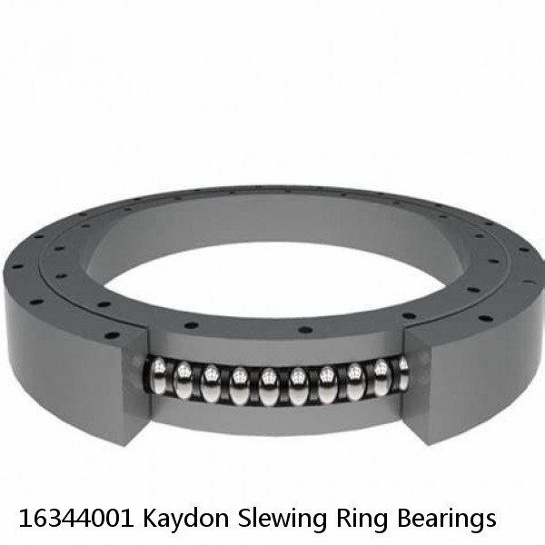 16344001 Kaydon Slewing Ring Bearings #1 image