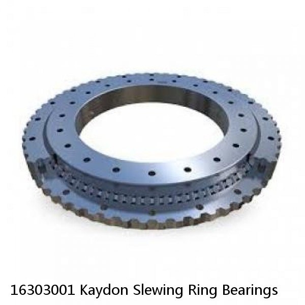 16303001 Kaydon Slewing Ring Bearings #1 image