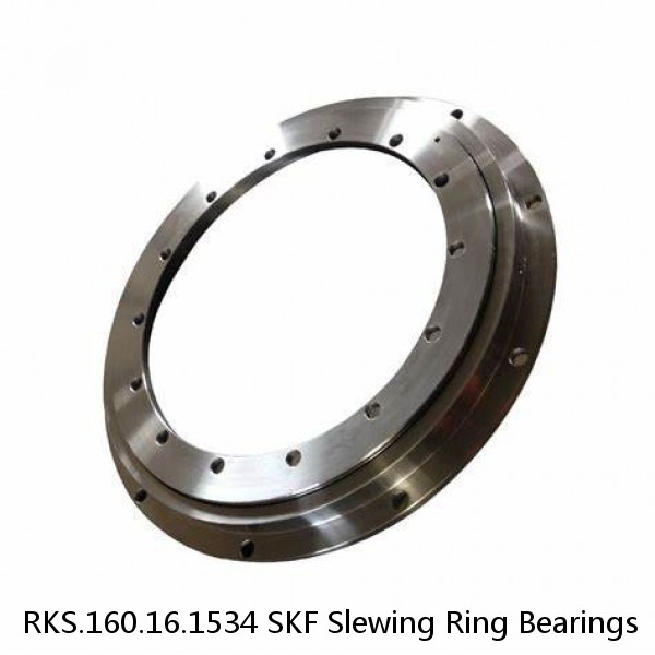 RKS.160.16.1534 SKF Slewing Ring Bearings #1 image