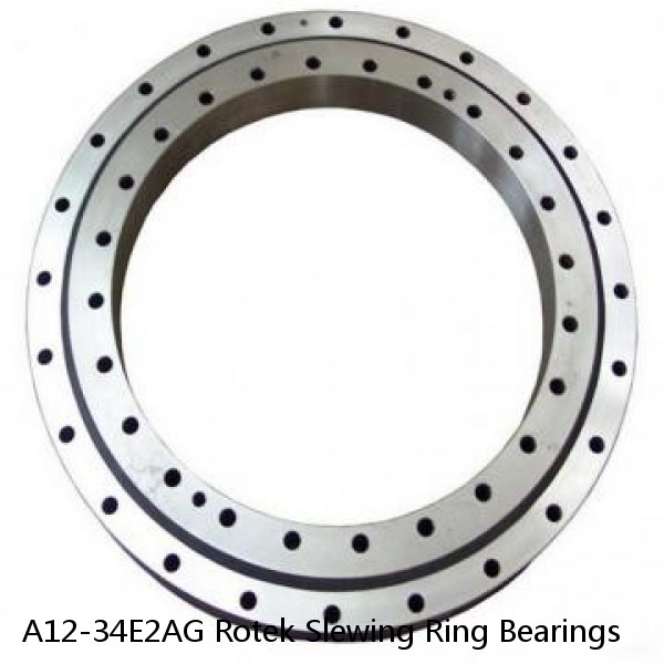 A12-34E2AG Rotek Slewing Ring Bearings #1 image