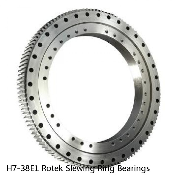 H7-38E1 Rotek Slewing Ring Bearings #1 image