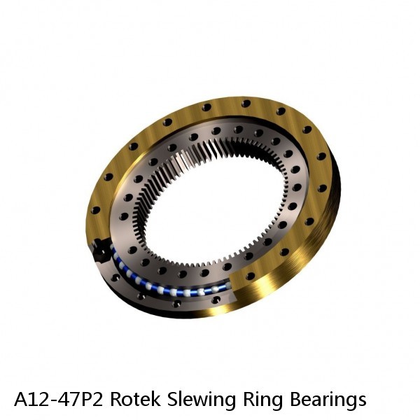 A12-47P2 Rotek Slewing Ring Bearings #1 image