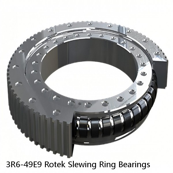 3R6-49E9 Rotek Slewing Ring Bearings #1 image