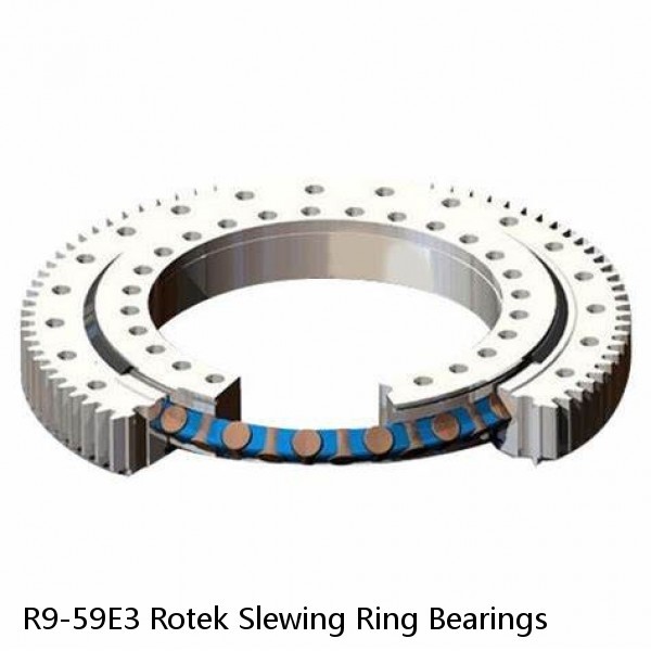 R9-59E3 Rotek Slewing Ring Bearings #1 image