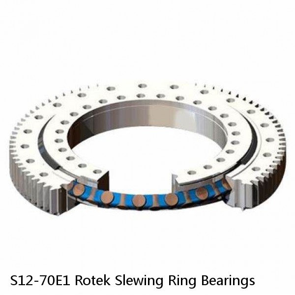 S12-70E1 Rotek Slewing Ring Bearings #1 image