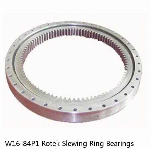 W16-84P1 Rotek Slewing Ring Bearings #1 image
