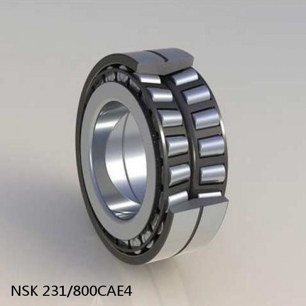 231/800CAE4 NSK Spherical Roller Bearing #1 image