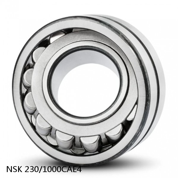 230/1000CAE4 NSK Spherical Roller Bearing #1 image