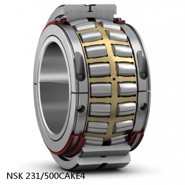 231/500CAKE4 NSK Spherical Roller Bearing #1 image