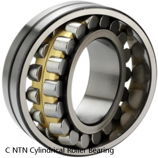 C NTN Cylindrical Roller Bearing #1 image