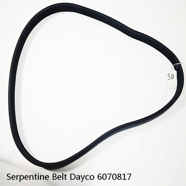 Serpentine Belt Dayco 6070817 #1 image
