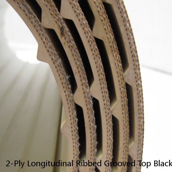 2-Ply Longitudinal Ribbed Grooved Top Black Rubber Conveyor Belt 14"x10' Long #1 image