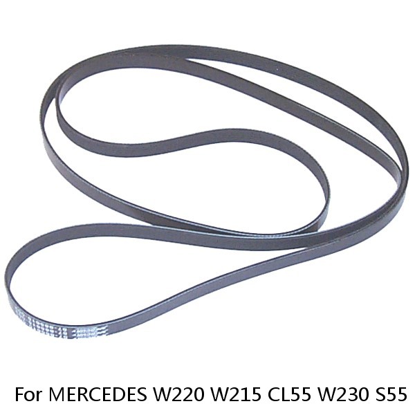 For MERCEDES W220 W215 CL55 W230 S55 SL55 AMG Serpentine Belt GATES 1139970092 #1 image