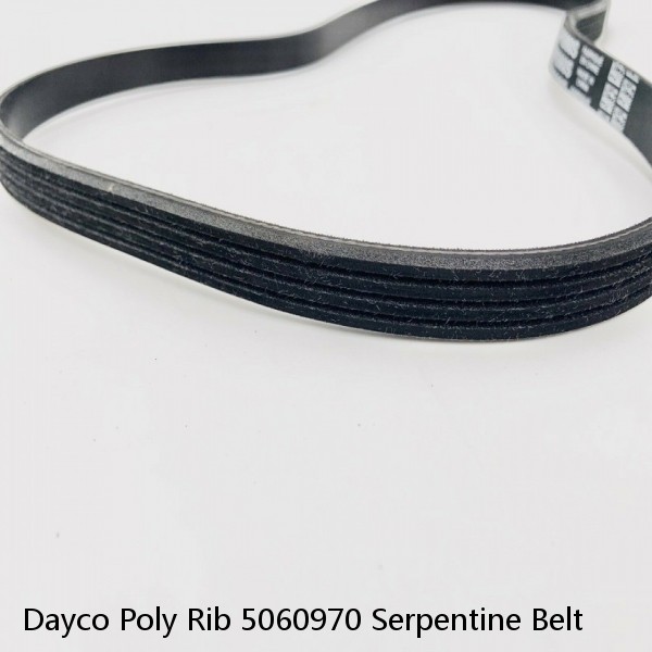 Dayco Poly Rib 5060970 Serpentine Belt #1 image