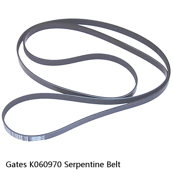 Gates K060970 Serpentine Belt #1 image